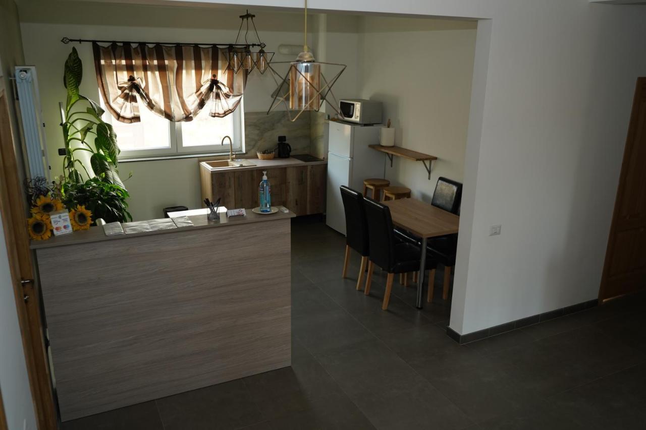 Pensiunea Giulia Home Dezmir Экстерьер фото